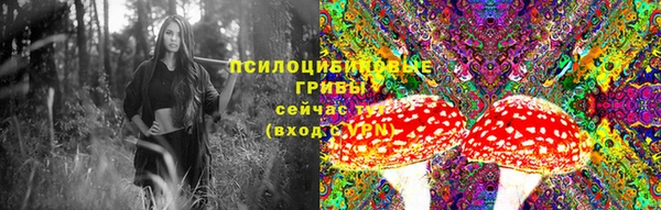 эйфоретик Алексеевка