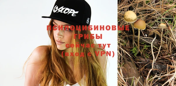 прущая мука Алзамай
