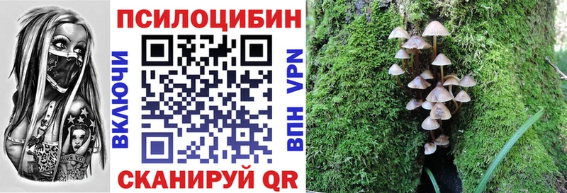 Псилоцибиновые грибы ЛСД  магазин  наркотиков  Бронницы 
